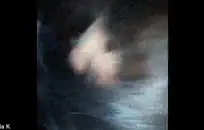 امرأة سمراء في سن المراهقة فاتنة مارس الجنس من قبل الديك ضخمة.