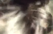 ملكة روديو تحصل على مارس الجنس من الصعب على ظهر الحصان.