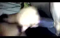 الديك ضخمة الرجيج قبالة في الحمام.