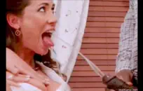 بلدان جزر المحيط الهادئ من القضبان السوداء والديوك السوداء مع ديكس والرجل الأسود في.