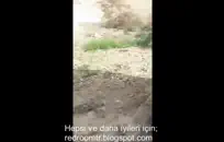 مثير فرخ خشب الأبنوس مع الحمار مذهلة ولطيفة ديك.