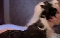 مقاطع سكس فرنسي قصيرة تنزيل