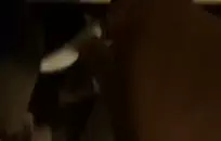 هولي القلب الملاعين ربيبها وأخوها غير الشقيق.