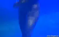 لطيف فتاة في سن المراهقة ركوب صاحب الديك حتى انه cums