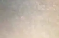 اثنان من القضبان لديهما نزهة.