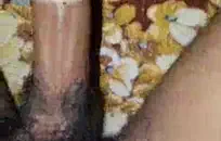 صديقتي مارس الجنس معي بشدة لدرجة أنه كان مؤلمًا