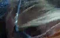 الثلاثي الشباب الساخنة مع الزوج الأكبر سنا المتزوجين