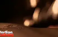 فيلم اباحي مع شاعر لطيف.